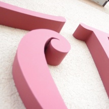 12255201_838616682903110_2090054594_o