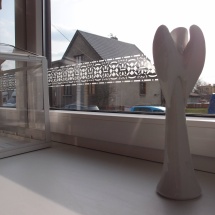 12314834_844609408970504_1656759590_o