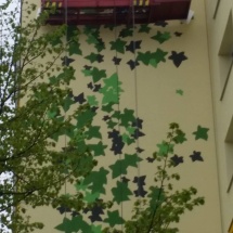 14060432_993792697385507_698995518_o