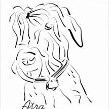 qhf8bvkk4v14ulp6f2i6wdn72otyjmvwo3bugrcfgh04zbsyog_m