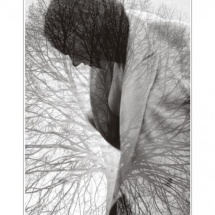 txex18hshynsj0eds7hwc1wnhgvc3rhihnm525r1g3wty1s2ew_m